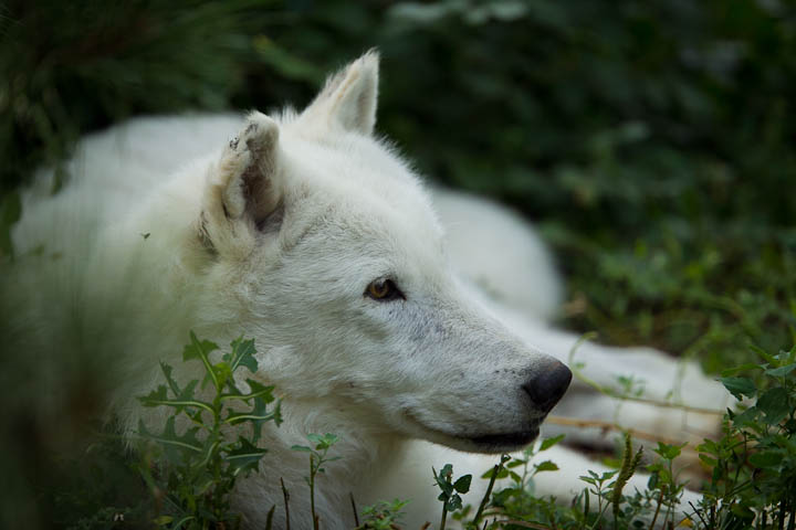 zootour12.jpg