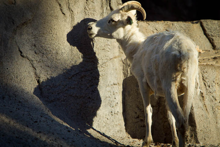 zootour3.jpg