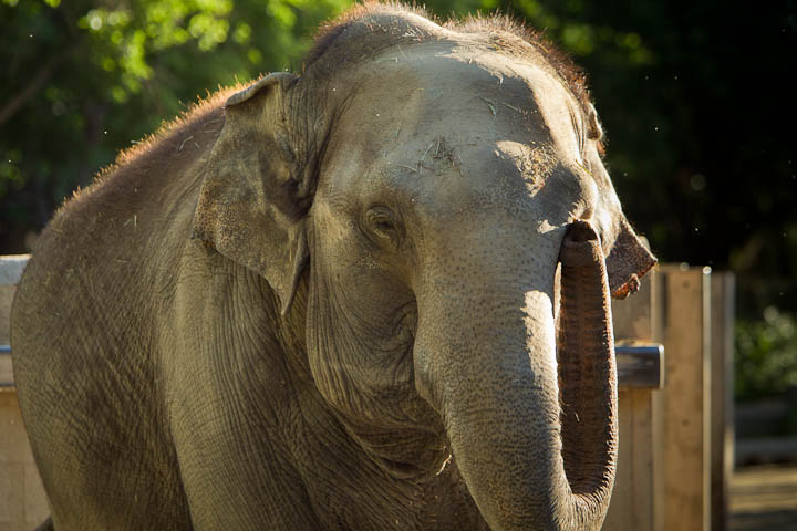 zootour4.jpg