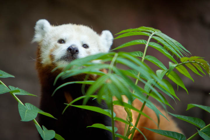 zootour8.jpg