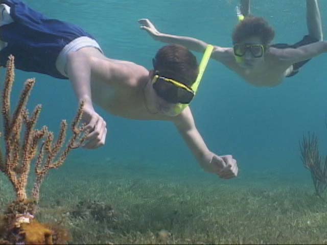 nickseansnorkeling.JPG