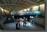 100EOS1D-BF8E6324_BF8E6324.jpg