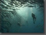 DSC00106.JPG