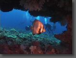 Palau3.jpg
